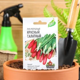Семена Лук репчатый «Красный салатный», 0.5 г, ранний, «Удачные семена»
