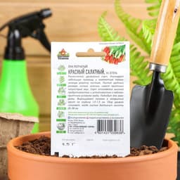 Семена Лук репчатый «Красный салатный», 0.5 г, ранний, «Удачные семена»