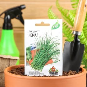 Семена Лук на зелень шнитт «Чемал», 0.5 г, «Удачные семена»