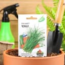 Семена Лук на зелень шнитт «Чемал», 0.5 г, «Удачные семена»