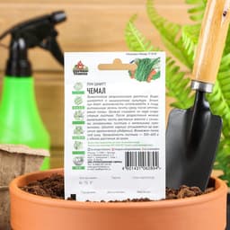 Семена Лук на зелень шнитт «Чемал», 0.5 г, «Удачные семена»