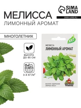 Семена Мелисса лекарственная «Лимонный аромат», 0.1 г, «Удачные семена»