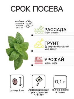 Семена Мелисса лекарственная «Лимонный аромат», 0.1 г, «Удачные семена»