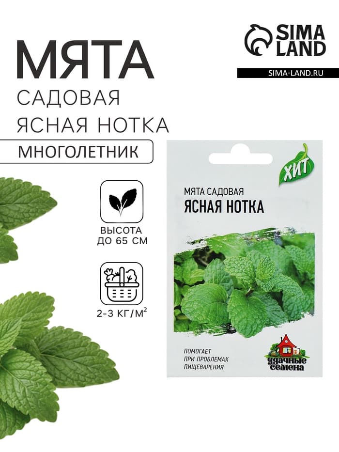 Семена мята садовая «Ясная нотка», цветной пакет, 0.05 г