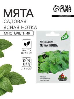 Семена мята садовая «Ясная нотка», цветной пакет, 0.05 г