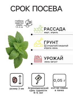 Семена мята садовая «Ясная нотка», цветной пакет, 0.05 г