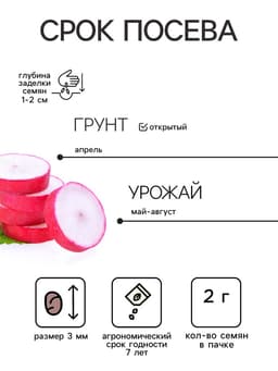 Семена Редис "Чемпион", ц/п, 2 г