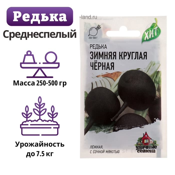 Семена Редька «Зимняя круглая» чёрная, 1 г, серия ХИТ х3