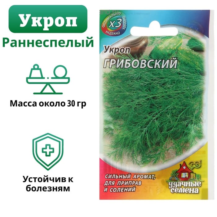 Семена укроп «Грибовский», 2 г