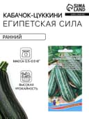Семена Кабачок «Египетская Сила», 10 шт., «Уральский Дачник»