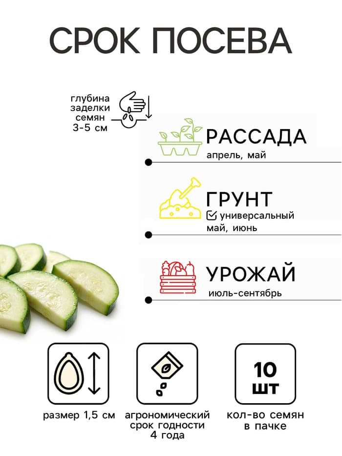 Семена Кабачок «Египетская Сила», 10 шт., «Уральский Дачник»