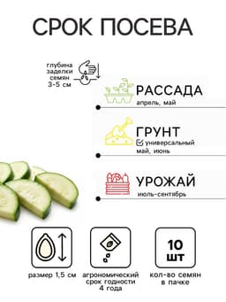 Семена Кабачок «Египетская Сила», 10 шт., «Уральский Дачник»