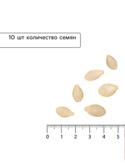 Семена Кабачок «Египетская Сила», 10 шт., «Уральский Дачник»