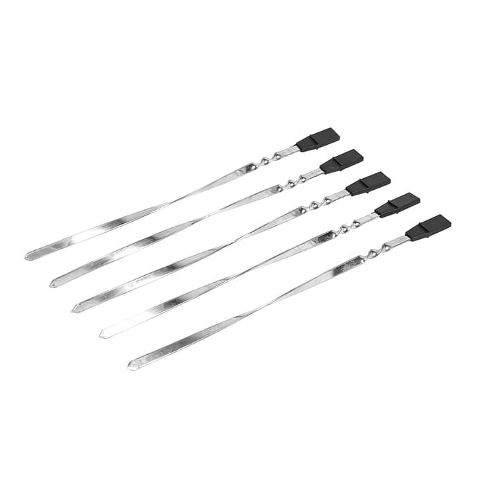 Электрошашлычница ENERGY НЕВА-1, 1000 Вт, 5 шампуров, серебристая