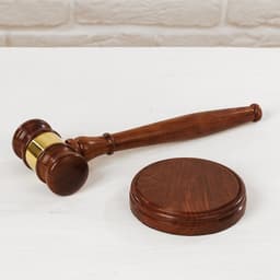 Сувенир «Судейский молоток», 29.5×12.5×7 см, дерево