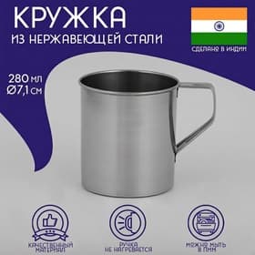 Кружка Доляна «Индия», 280 мл, d=7.1 см, нержавеющая сталь, хромированная
