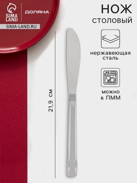 Нож столовый Доляна «Варт», длина 21.9 см, толщина 2 мм, нержавеющая сталь, серебристый