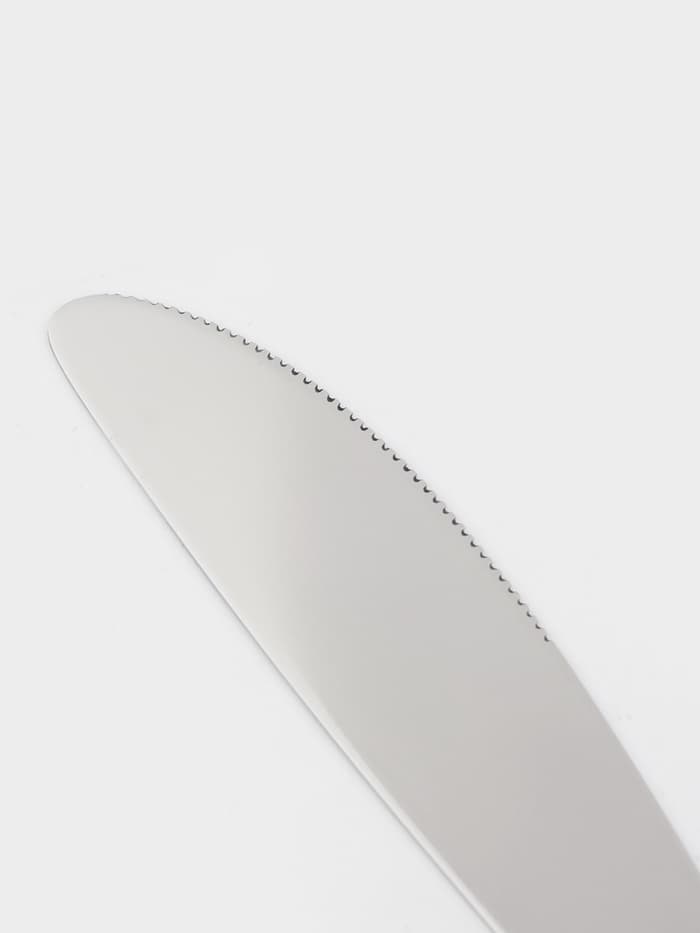 Нож столовый Доляна «Варт», длина 21.9 см, толщина 2 мм, нержавеющая сталь, серебристый