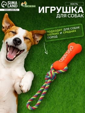 Игрушка для собак «Кость», 14 см, резиновая, с ручкой из каната, до 37 см, цвет МИКС