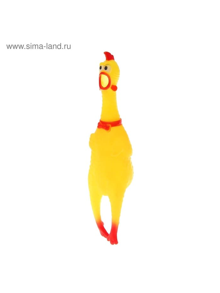 Курица, кричит, в сетке