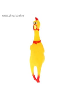 Курица, кричит, в сетке