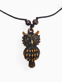 Кулон на шнурке «Филин», коричнево-чёрный на чёрном шнурке, 80 см
