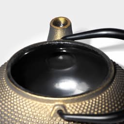 Чайник Доляна «Восточная ночь. Золото», 300 мл, с ситом, чугун, индукция, золотистый