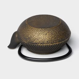 Чайник Доляна «Восточная ночь. Золото», 300 мл, с ситом, чугун, индукция, золотистый