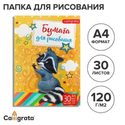 Папка для рисования А4, 30 листов «Енот», плотность 120 г/м²