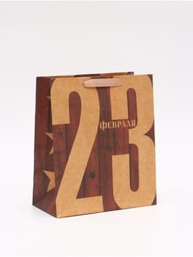 Пакет подарочный крафтовый, упаковка, «23 Февраля», ML 23×27×8 см