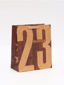 Пакет подарочный крафтовый, упаковка, «23 Февраля», ML 23×27×8 см