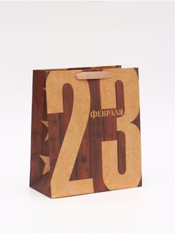 Пакет подарочный крафтовый, упаковка, «23 Февраля», ML 23×27×8 см
