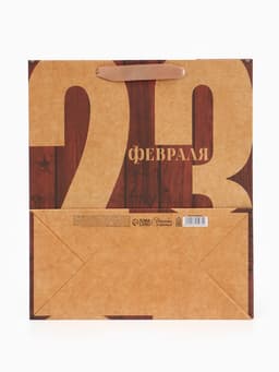 Пакет подарочный крафтовый, упаковка, «23 Февраля», ML 23×27×8 см