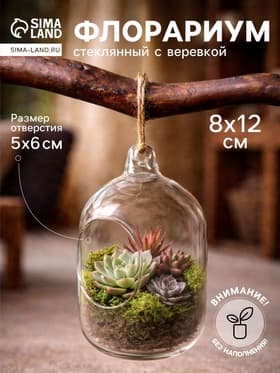 Флорариум «Цилиндр», с верёвкой, d=5×6 см, 8×12 см