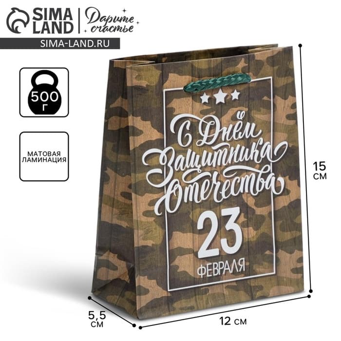 Пакет подарочный ламинированный, упаковка, «С 23 февраля», S 12×15×5.5 см