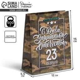 Пакет подарочный ламинированный, упаковка, «С 23 февраля», S 12×15×5.5 см