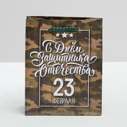 Пакет подарочный ламинированный, упаковка, «С 23 февраля», S 12×15×5.5 см