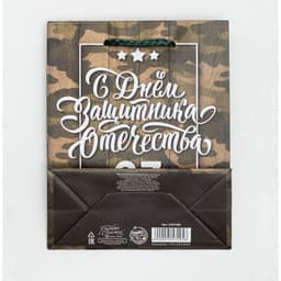 Пакет подарочный ламинированный, упаковка, «С 23 февраля», S 12×15×5.5 см