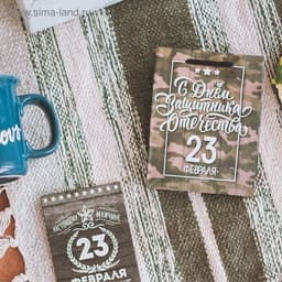 Пакет подарочный ламинированный, упаковка, «С 23 февраля», S 12×15×5.5 см