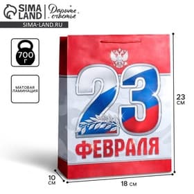 Пакет подарочный ламинированный, упаковка, «23 февраля!», MS 18×23×10 см