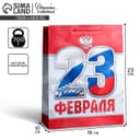 Пакет подарочный ламинированный, упаковка, «23 февраля!», MS 18×23×10 см