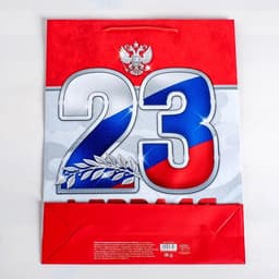 Пакет подарочный ламинированный, упаковка, «23 февраля!», MS 18×23×10 см