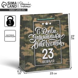 Пакет подарочный ламинированный, упаковка, «С 23 февраля», ML 27×23×11.5 см