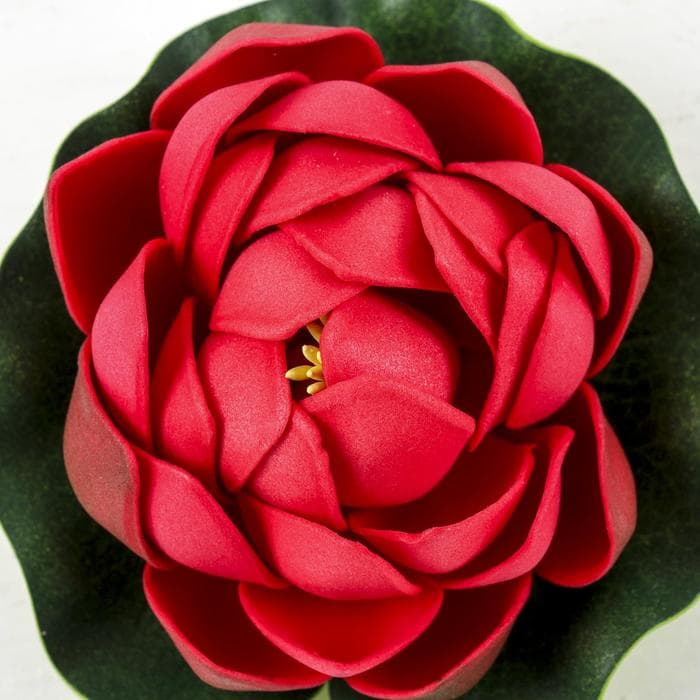 Декор «Кувшинка плавающая», d=10 см, МИКС