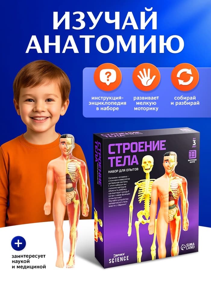 Набор для опытов «Строение тела», анатомия человека