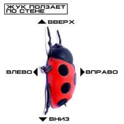 Жук на радиоуправлении «Божья коровка», ползает по стене