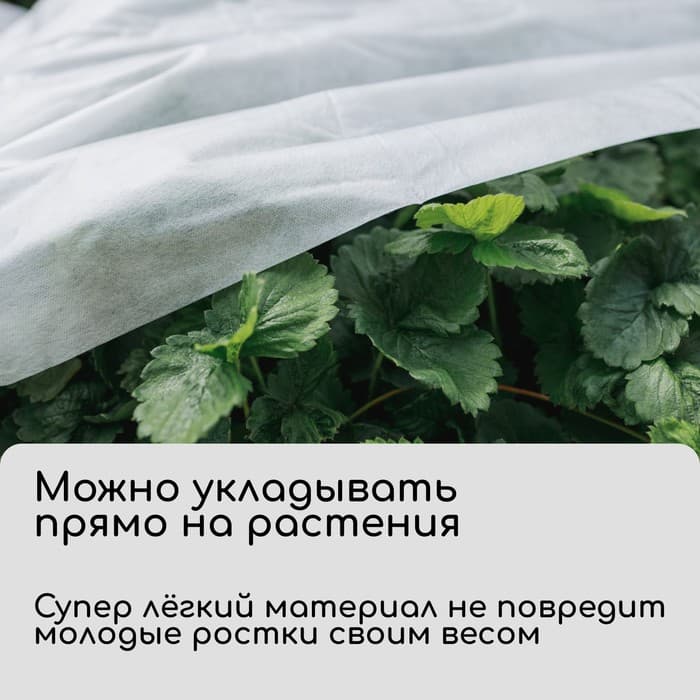 Материал укрывной, 5×1.6 м, плотность 30 г/м², спанбонд с УФ-стабилизатором, белый, Greengo, Эконом 30%