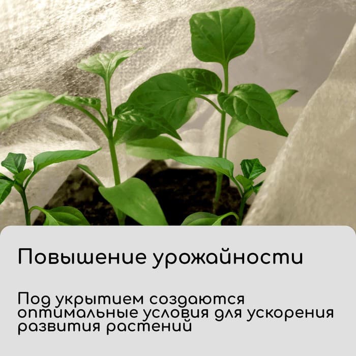 Материал укрывной, 5×1.6 м, плотность 30 г/м², спанбонд с УФ-стабилизатором, белый, Greengo, Эконом 30%