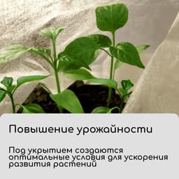 Материал укрывной, 5×1.6 м, плотность 30 г/м², спанбонд с УФ-стабилизатором, белый, Greengo, Эконом 30%