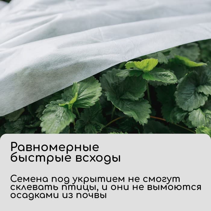 Материал укрывной, 5×1.6 м, плотность 30 г/м², спанбонд с УФ-стабилизатором, белый, Greengo, Эконом 30%